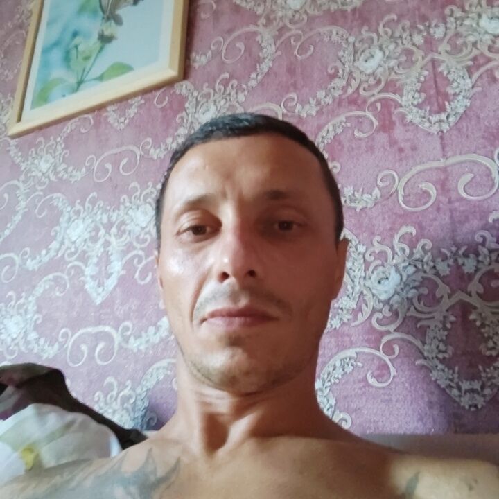 28562370  , 39 ,    