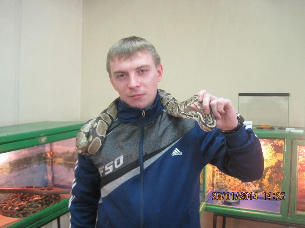 ���� 9327380 ������� �����, 35 ���, ���� ���������� � ������