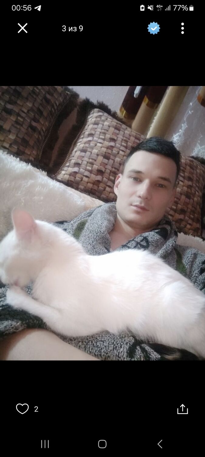 ���������� �����-���������, ���� ������� Sho�, 31 ���, ������������ ��� ������, ����� � ���������