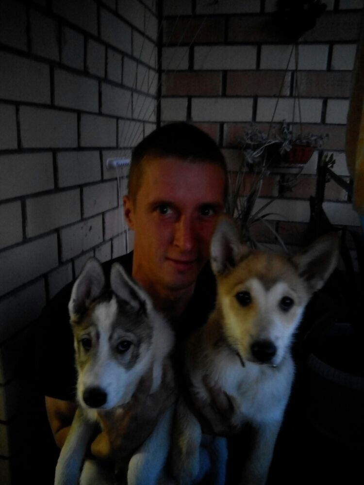 ���������� ������, ���� ������� Alex, 37 ���, ������������ ��� ������, ����� � ���������