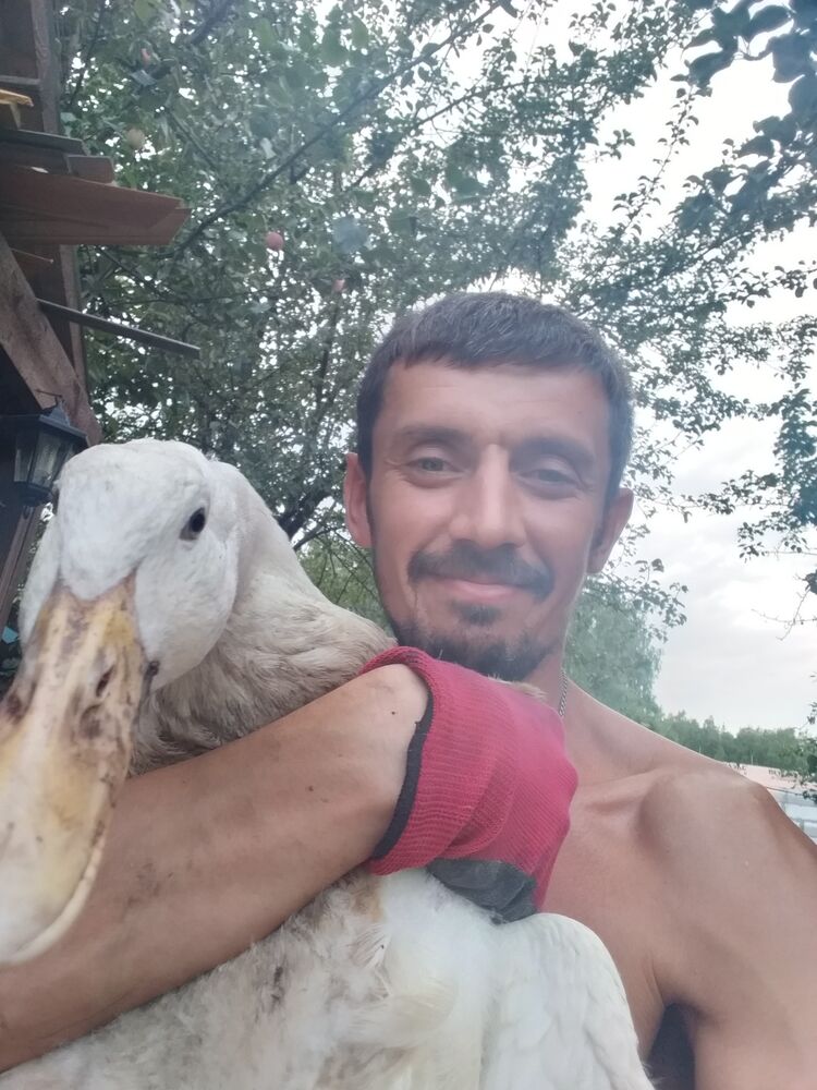 ���������� ���������, ���� ������� ����, 41 ���, ������������ ��� ������, ����� � ���������, ���������