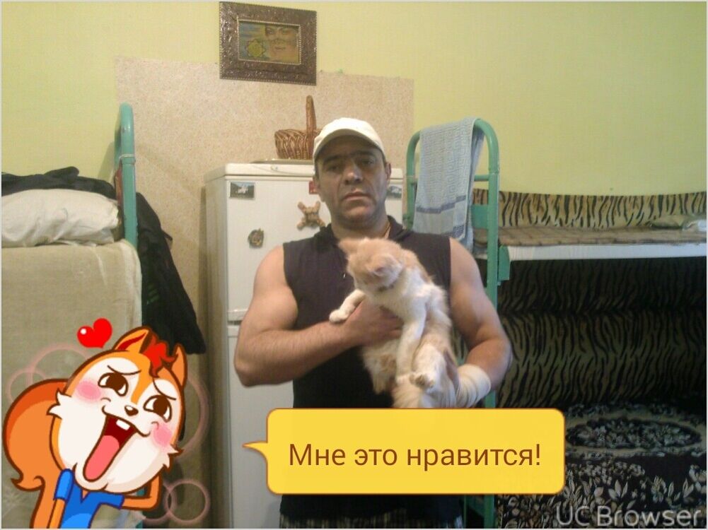  10079630  , 58 ,    