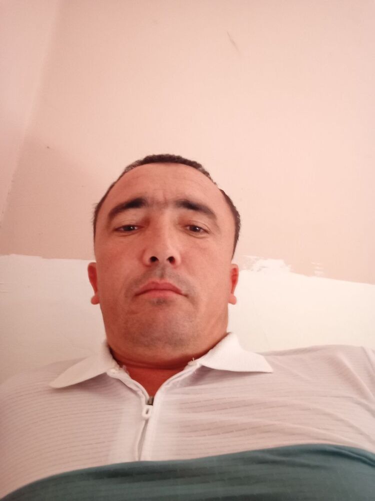  36246130  , 32 ,    