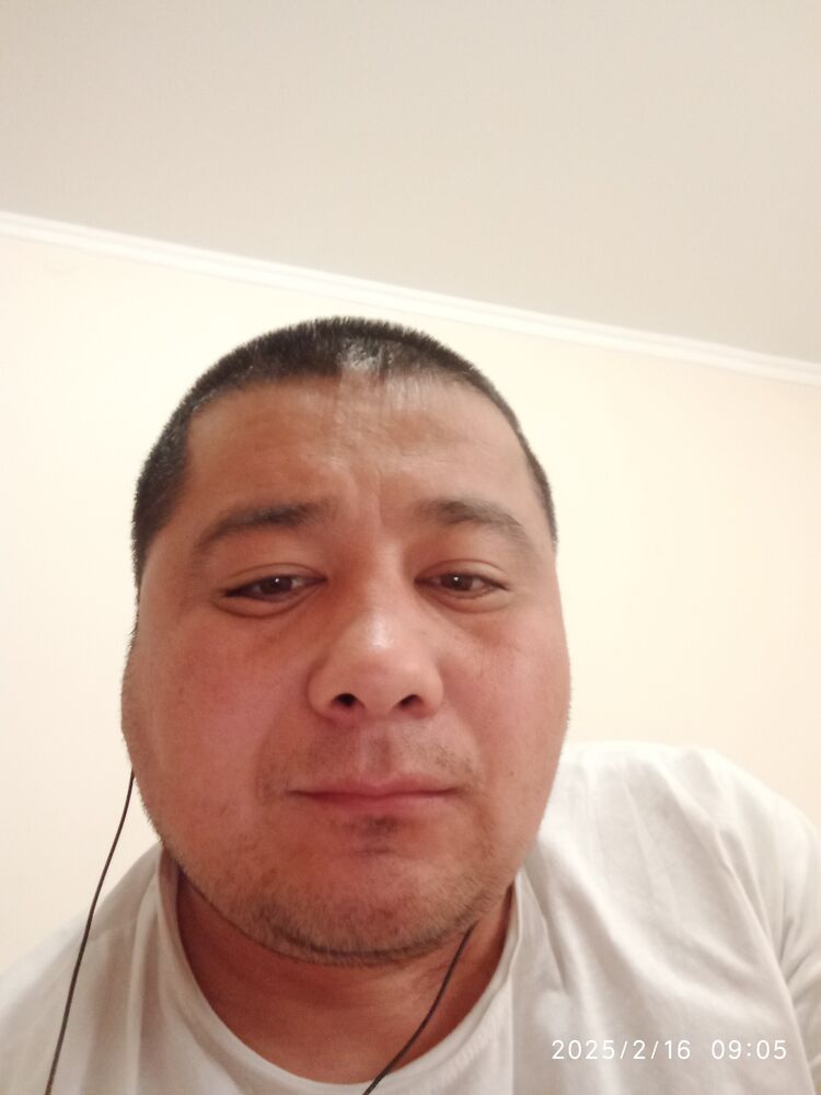  49704660  , 34 ,    