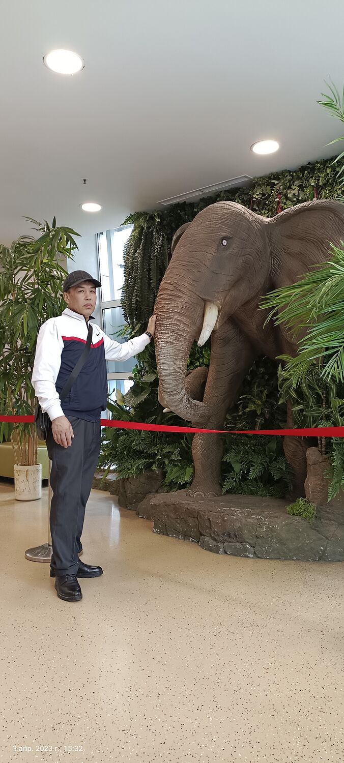 ���� 41300240 ������� ������, 40 ���, ���� ���������� � ������