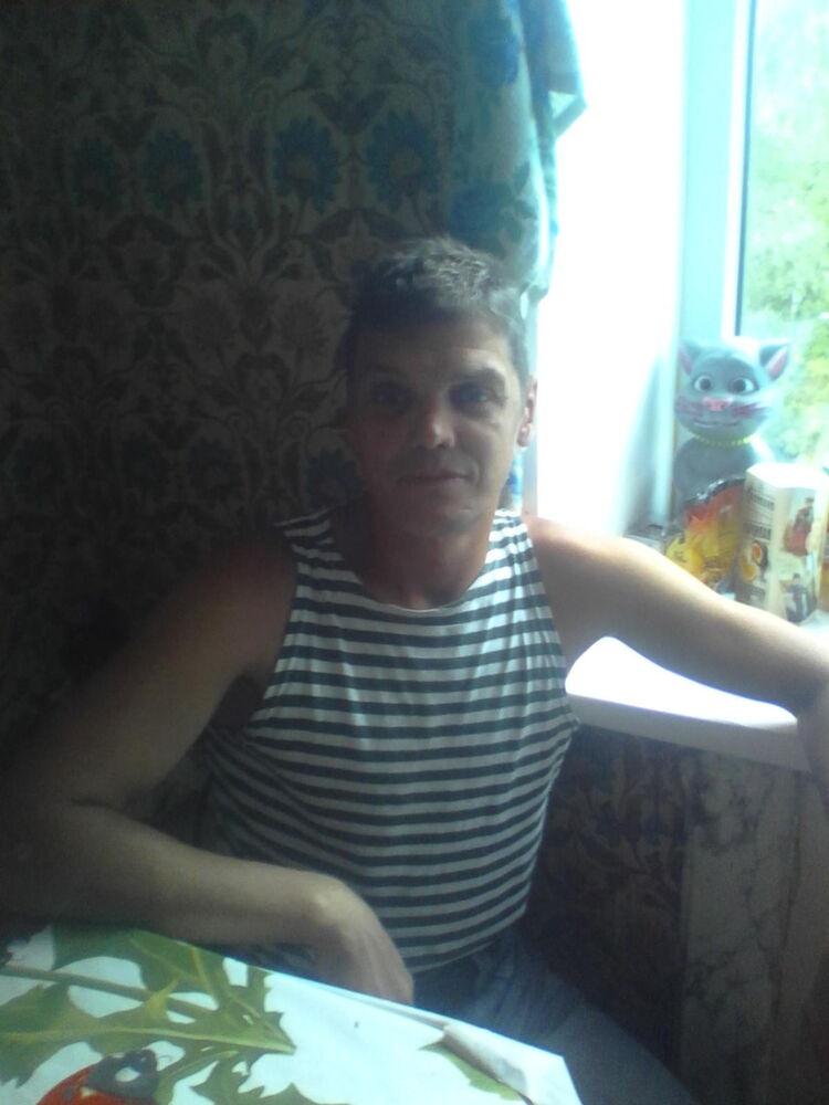 41280050  , 49 ,    