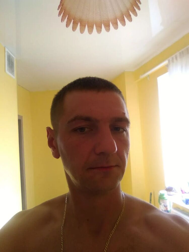  42311010  , 36 ,    -