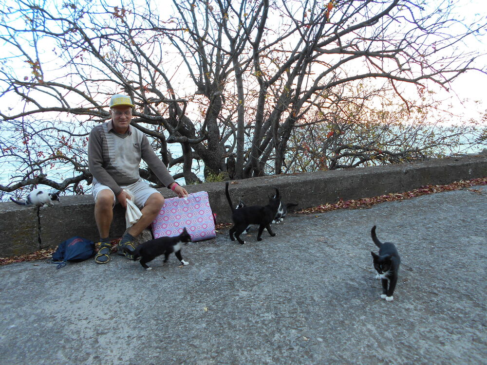  ,   Viktor s, 59 ,   ,   