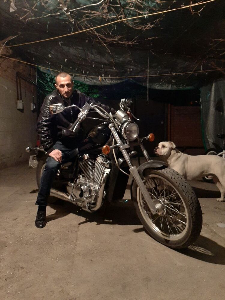  31618550  , 43 ,    