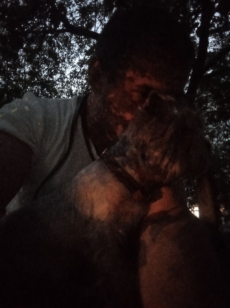  -,   Vladimir, 46 ,     