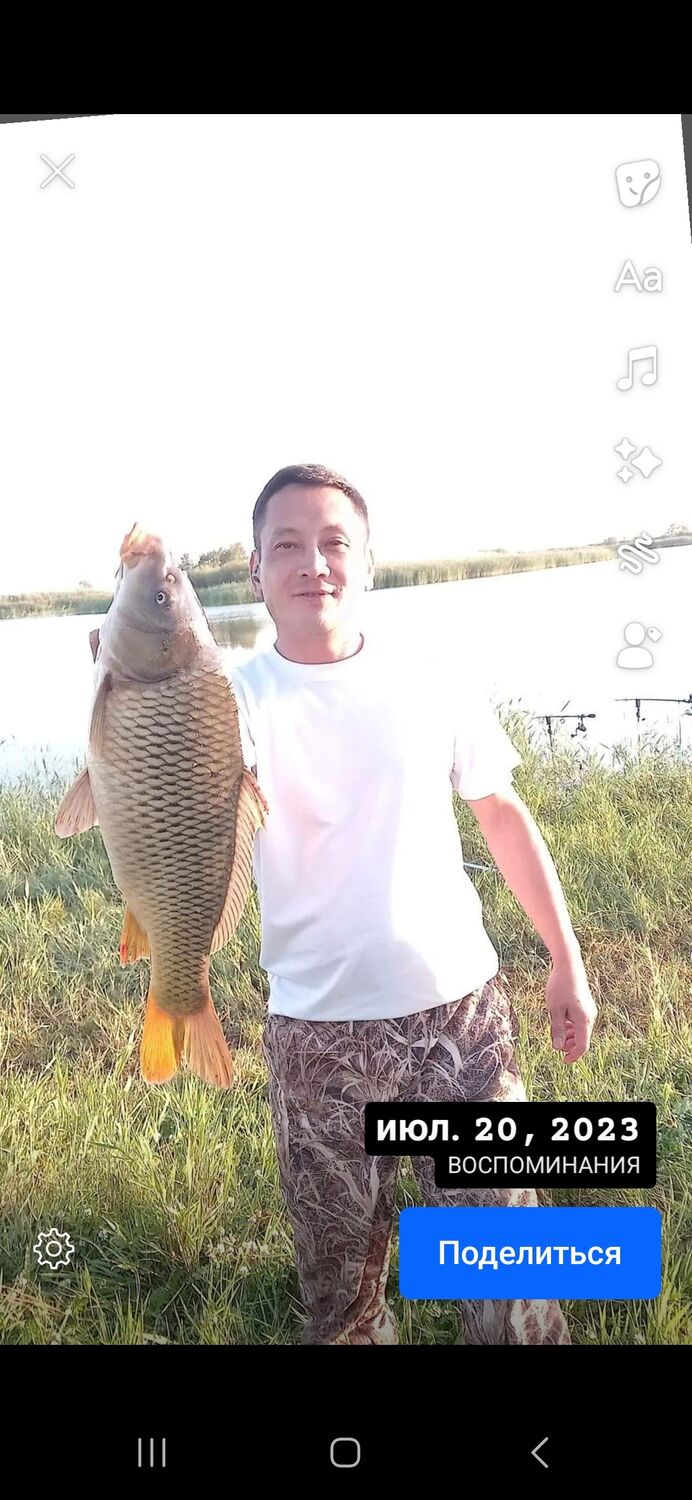 ���� 48755030 ������� ����, 36 ���, ���� ���������� � ��������