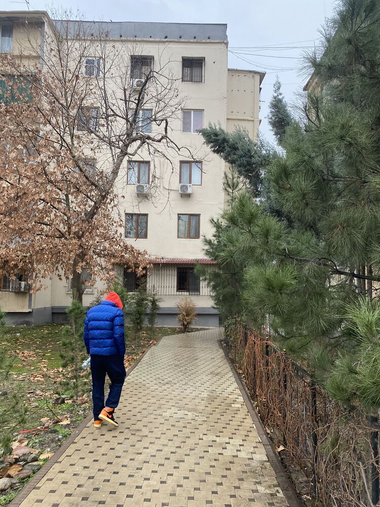  36162530  , 28 ,    