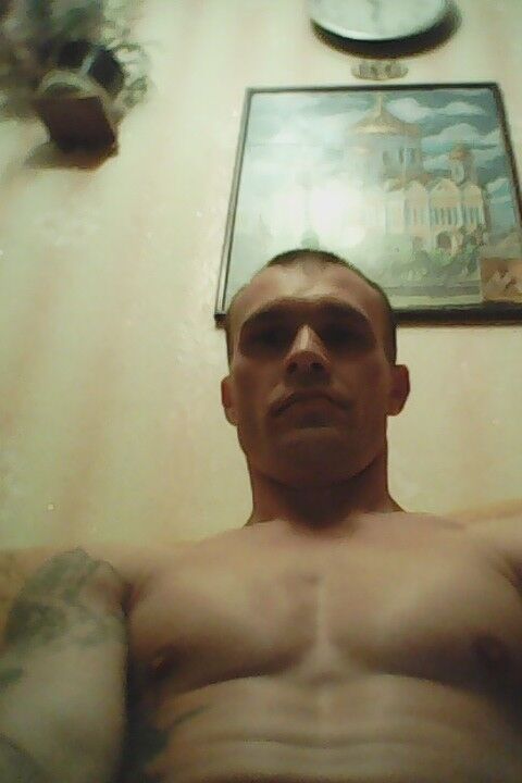  9546150  , 47 ,    