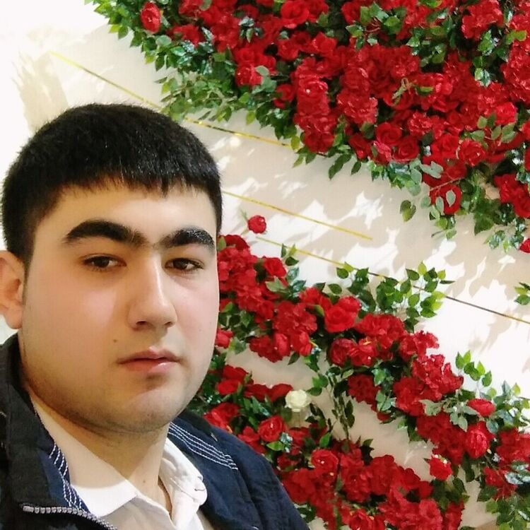 ���� 22241810 ����� ������, 24 ����, ���� ���������� � ������������