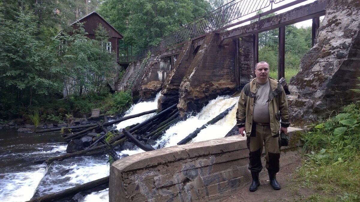 ���� 19594320 ������� �����, 49 ���, ���� ���������� � �����-����������