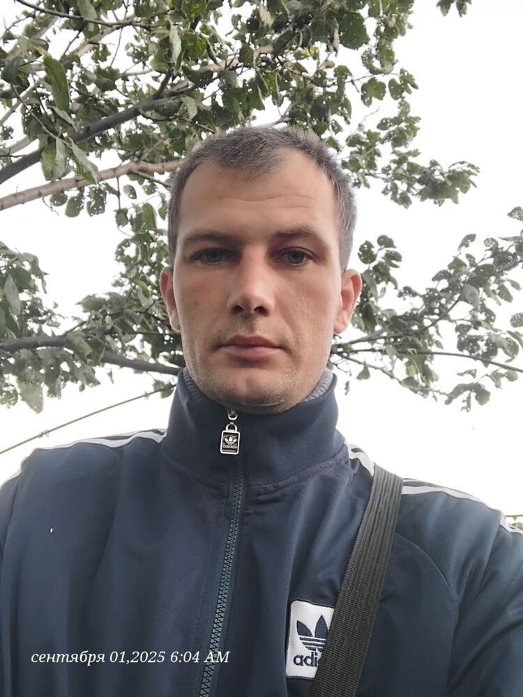 ���� 53628130 ������� ��������, 33 ����, ���� ���������� � ����������