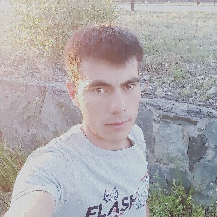  31813290  , 37 ,     