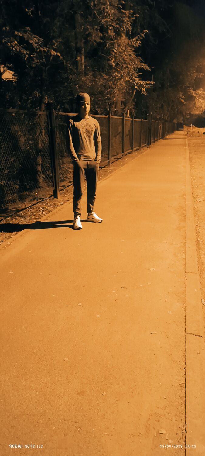  43462390  Roma, 29 ,    