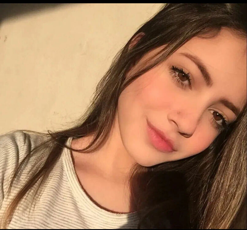  54136520  , 40 ,    -