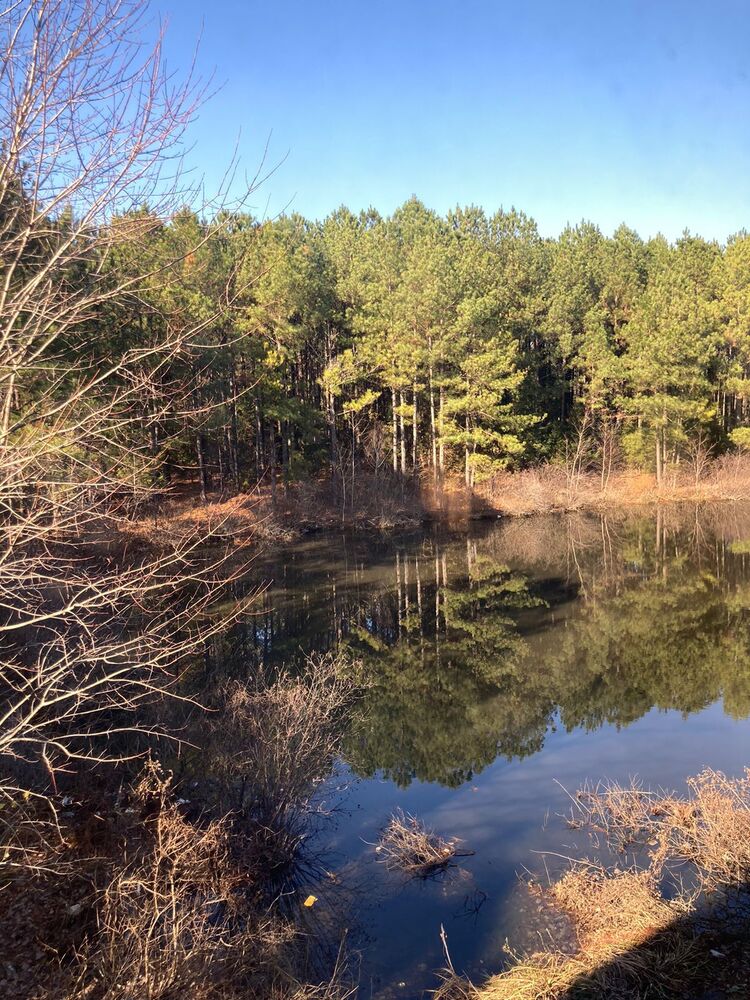 ���� 55037320 ������� �����, 30 ���, ���� ���������� � ������