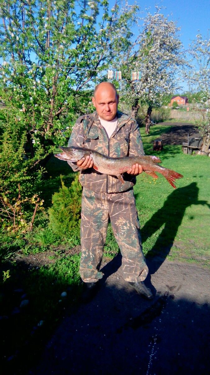 ���� 17534960 ������� ������, 50 ���, ���� ���������� � ������