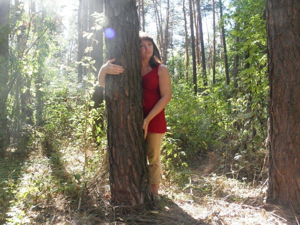 ���������� ����� �������, ���� ������� ��������� ��, 52 ����, ������������ ��� ���������