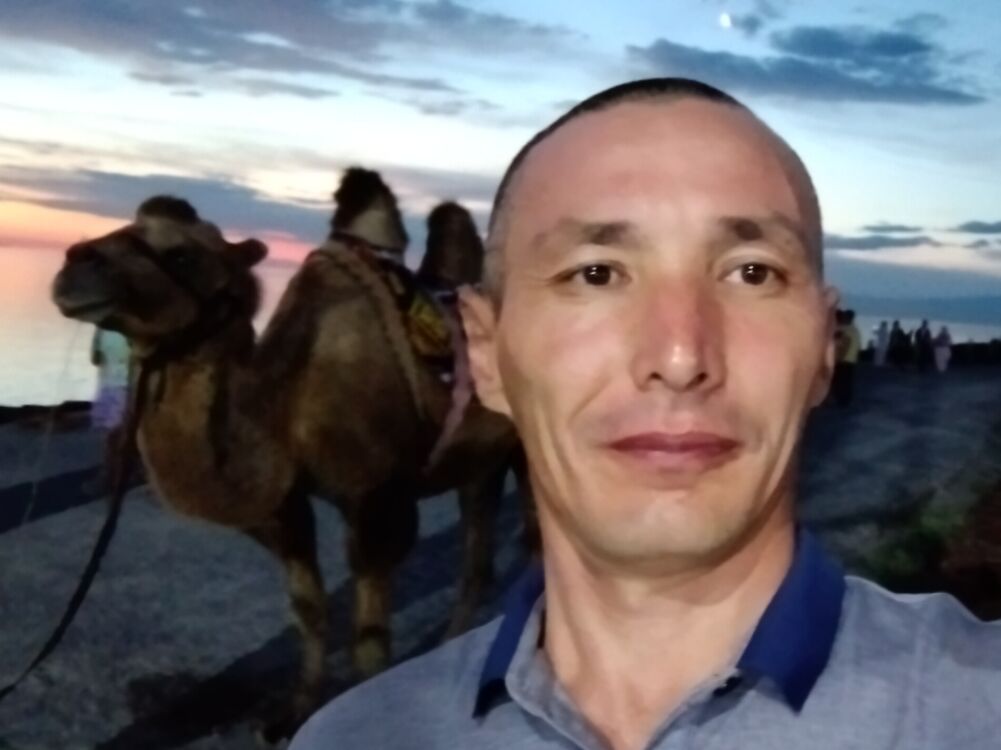 ���� 33620850 ������� ������, 42 ����, ���� ���������� � ������