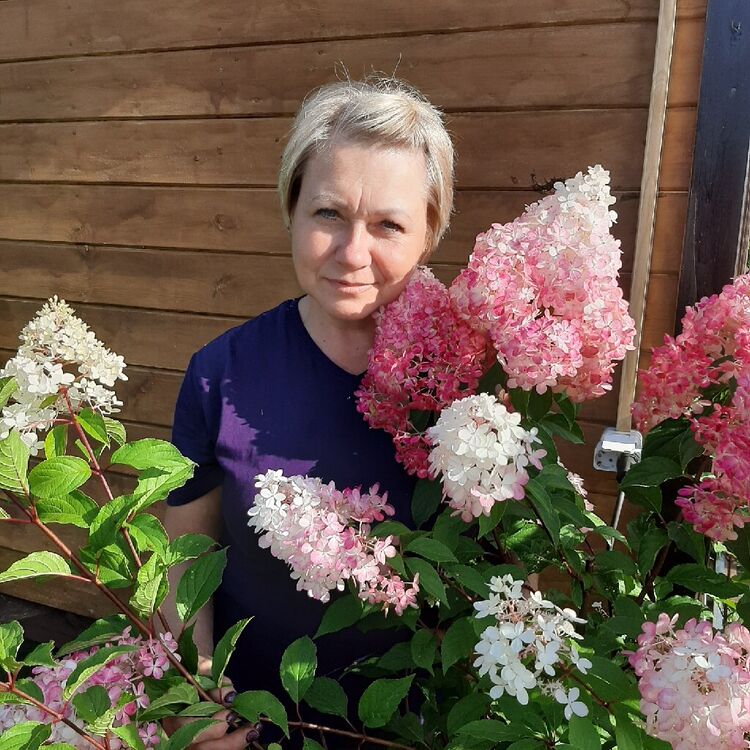  53951470  , 52 ,    -