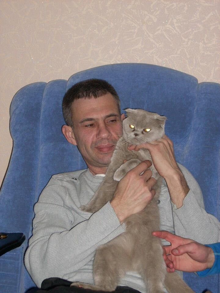 ���� 5668740 ������� Maccik, 60 ���, ���� ���������� � ��������