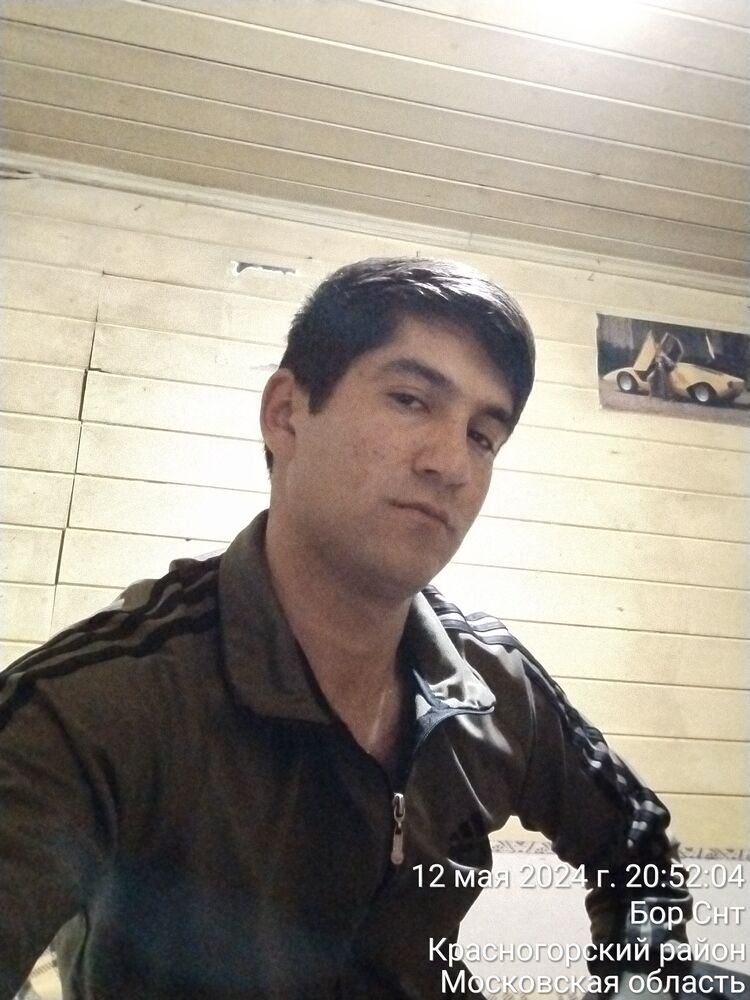  43238750  , 31 ,    