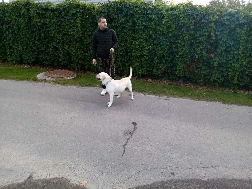 ���� 21459180 ������� �������, 35 ���, ���� ���������� � ������