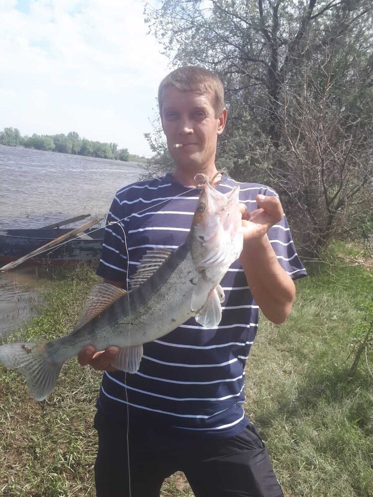 ���� 26056550 ������� �������, 44 ����, ���� ���������� � �����-����������