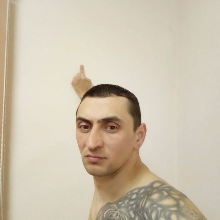  37955870  , 43 ,    