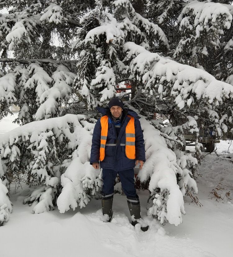 ���������� ������������, ���� ������� �����, 44 ����, ������������ ��� ����� � ���������, c�������� ���������, ���������