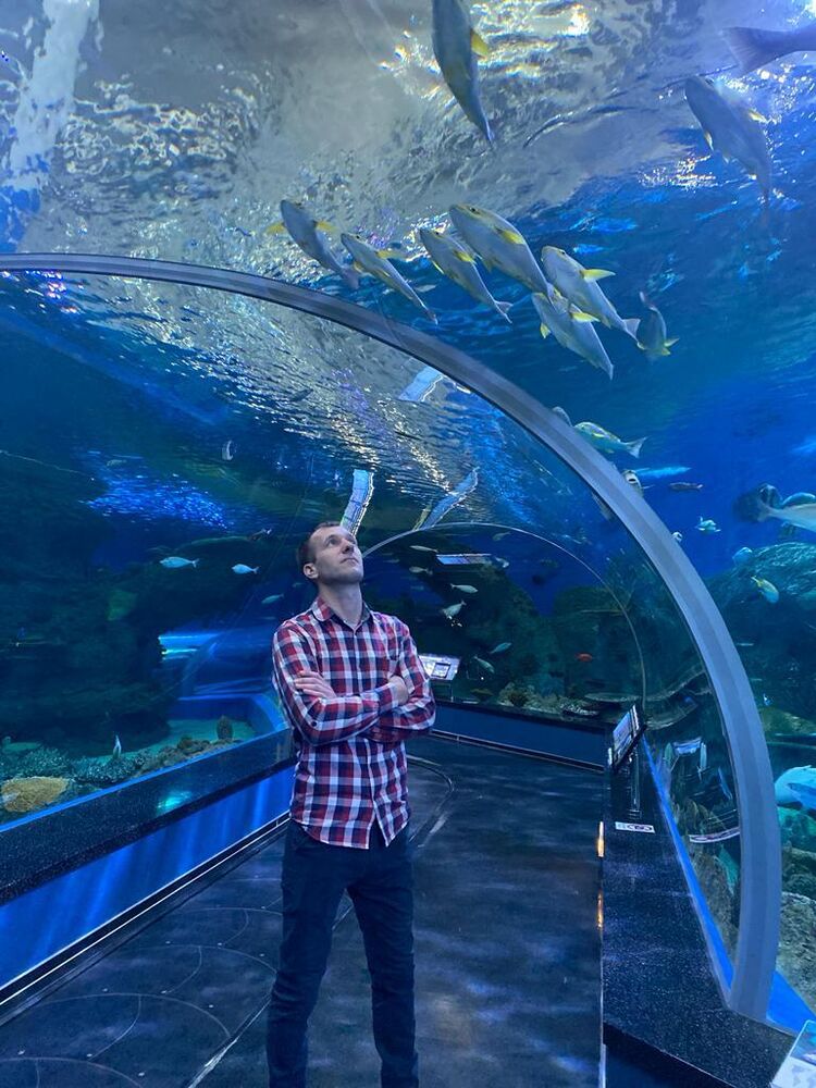 ���������� ����, ���� ������� ������, 36 ���, ������������ ��� ������, ����� � ���������, c�������� ���������