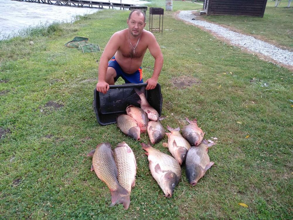 ���������� �����������, ���� ������� ������, 47 ���, ������������ ��� ������, ����� � ���������, c�������� ���������, ���������