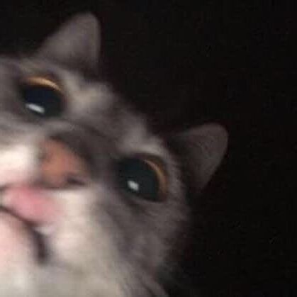 ���� 55577740 ����� �����, 24 ����, ���� ���������� � ������