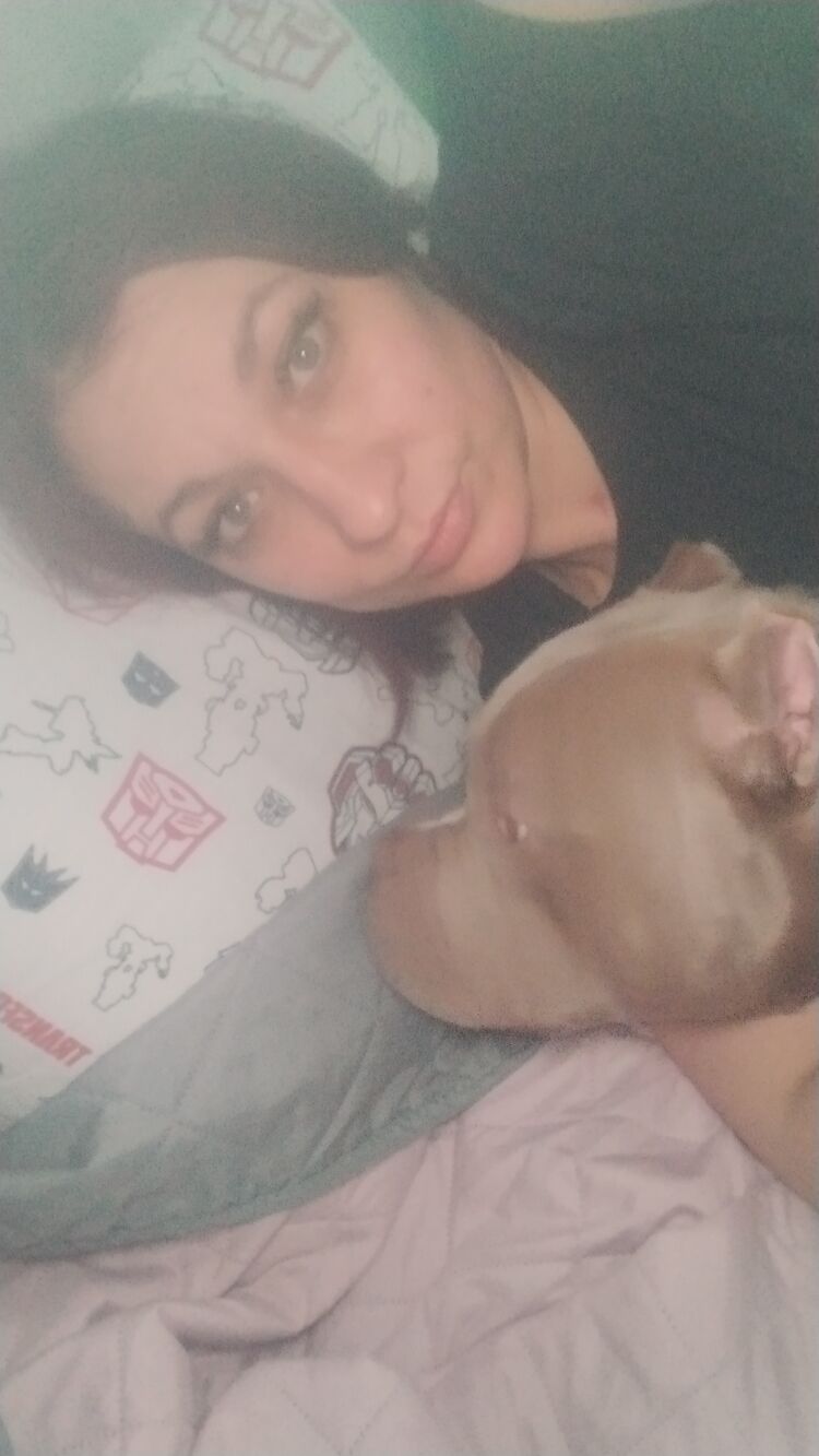 ���� 43571360 ������� ����, 43 ����, ���� ���������� � �����-����������