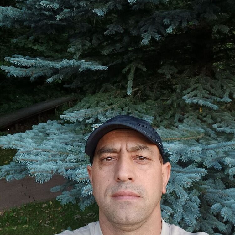  53894360  , 41 ,    