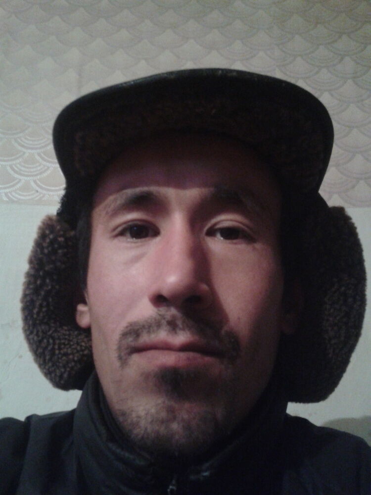  8608080  , 39 ,    -