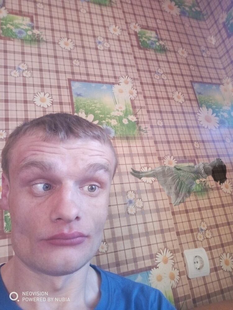 ���������� ��������, ���� ������� ������, 38 ���, ������������ ��� ������, ����� � ���������, c�������� ���������