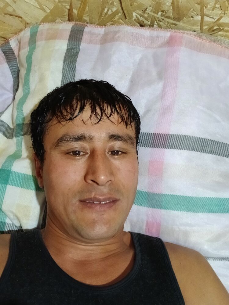  47777140   , 36 ,    