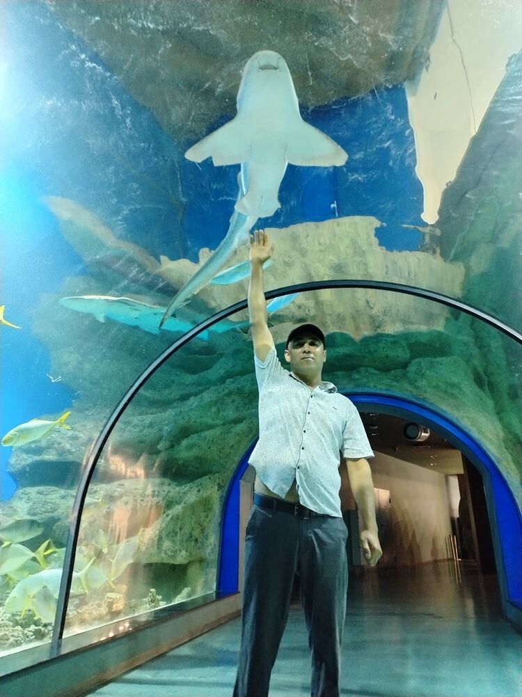 ���������� ������, ���� ������� ������, 39 ���, ������������ ��� ������, ����� � ���������