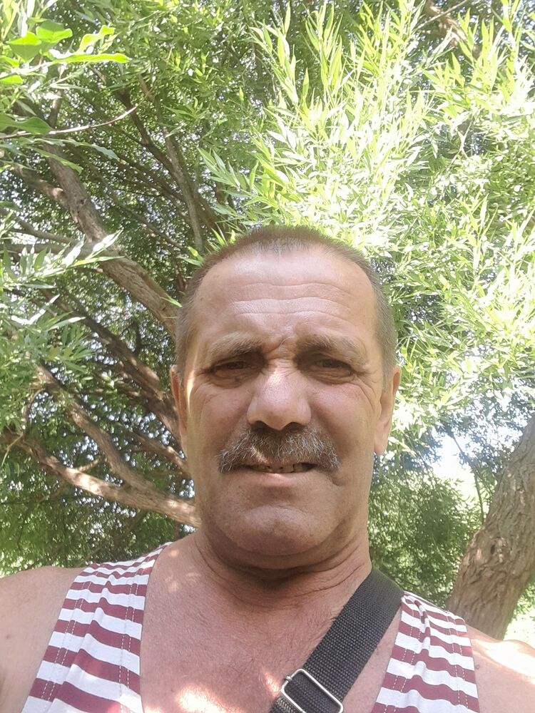  31568870  , 63 ,    