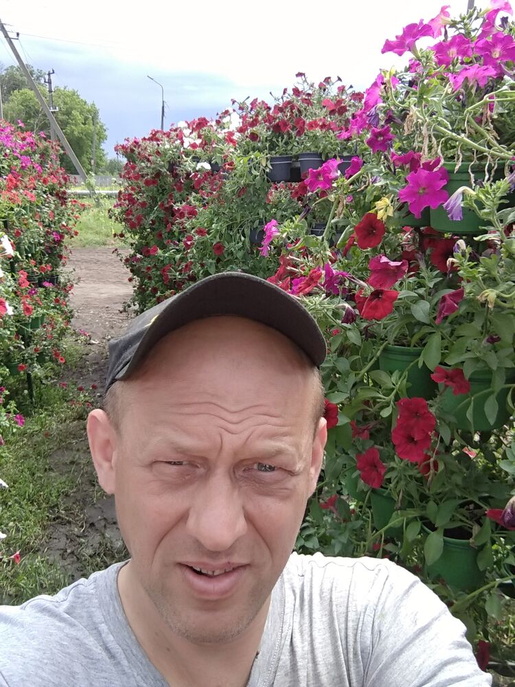 ���� 24875540 ������� ������, 48 ���, ���� ���������� � ������