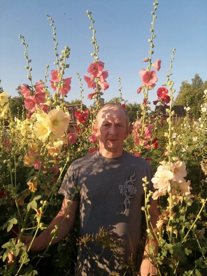 ���������� ��������, ���� ������� ����, 63 ����, ������������ ��� ������, ����� � ���������