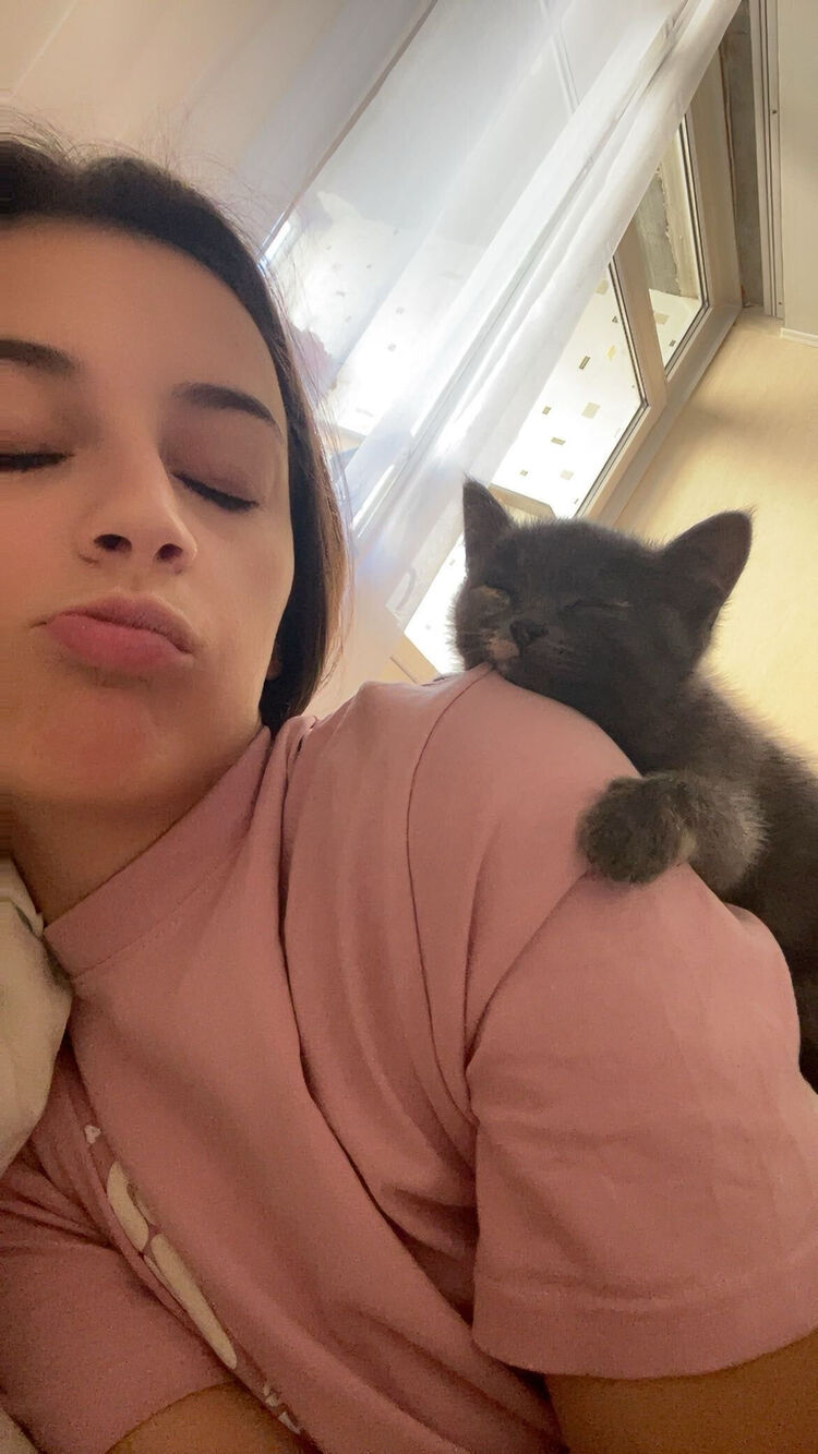 ���������� ��������, ���� ������� ����, 28 ���, ������������ ��� ������, ����� � ���������