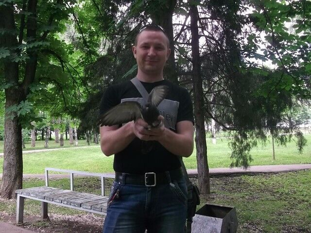 ���� 35265640 ������� ������, 36 ���, ���� ���������� � ����������