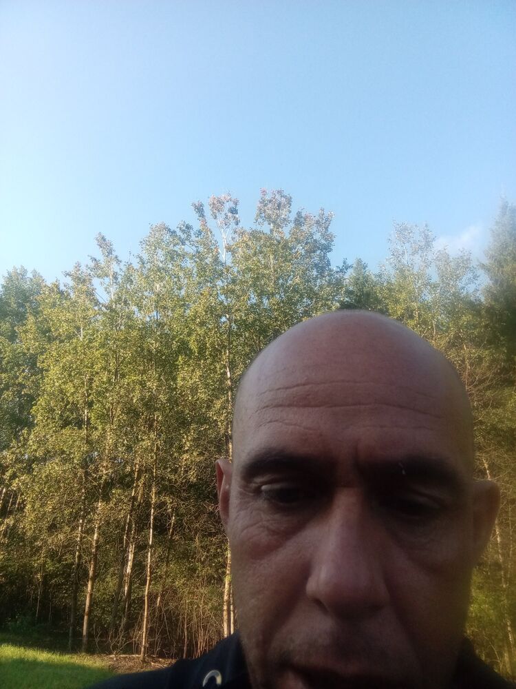 45625320  , 38 ,    