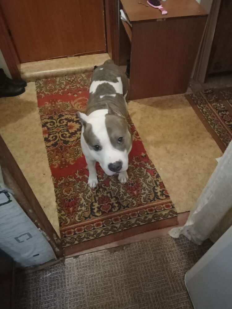  ,   , 30 ,   ,   , 